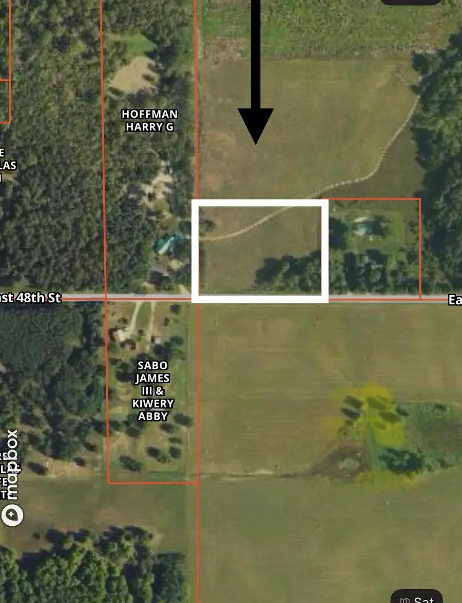 2 acres E 48th Street, Chase, MI 49623 - Image #2