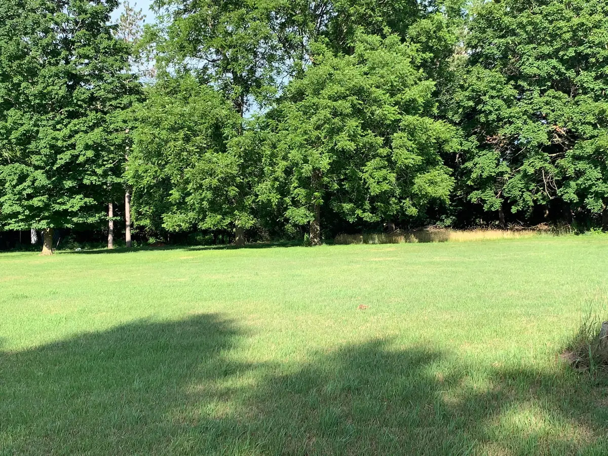 Lizzie Avenue, Hesperia, MI 49421 - Image #1