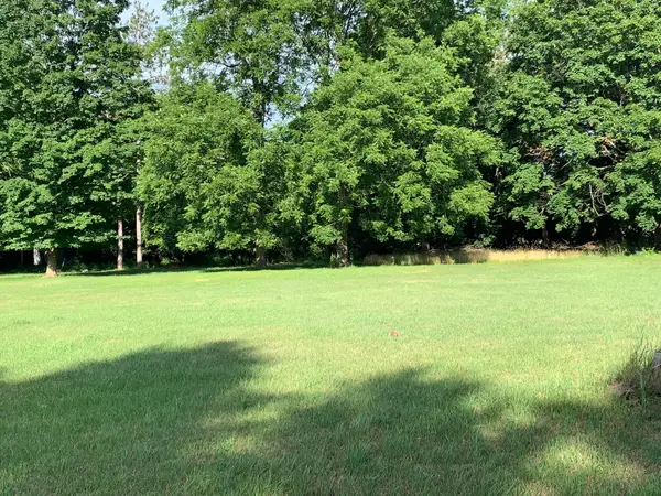 Lizzie Avenue, Hesperia, MI 49421