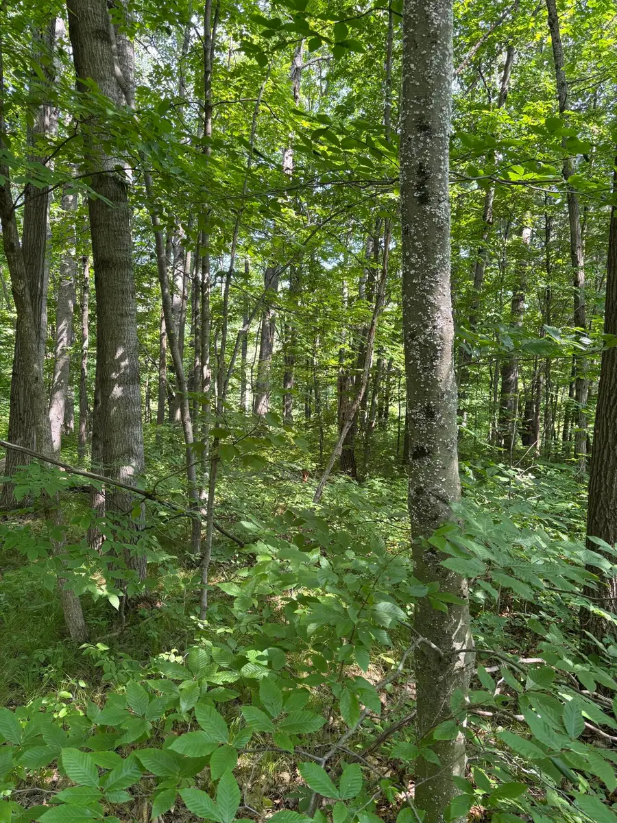 3628 Indian Trail Crossing, Hersey, MI 49639 - Image #3