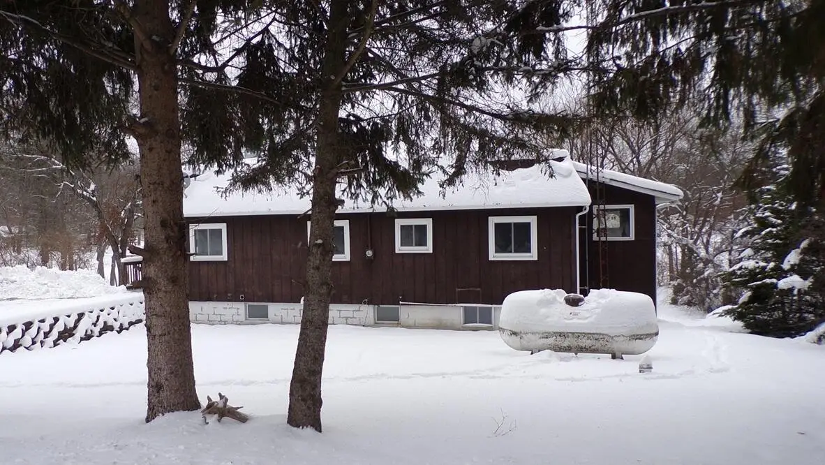 7330 N Central Avenue, Brohman, MI 49312 - #1