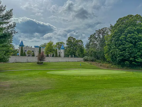 9384 E Circle Drive, CanadianLakes, MI 49346