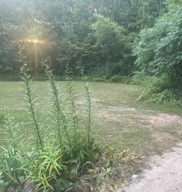 17333 Summit Court, Barryton, MI 49305