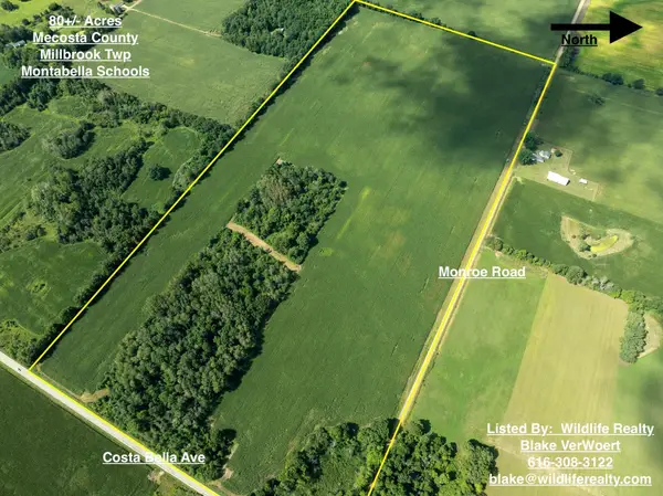 80Acres Monroe Road, Blanchard, MI 49310