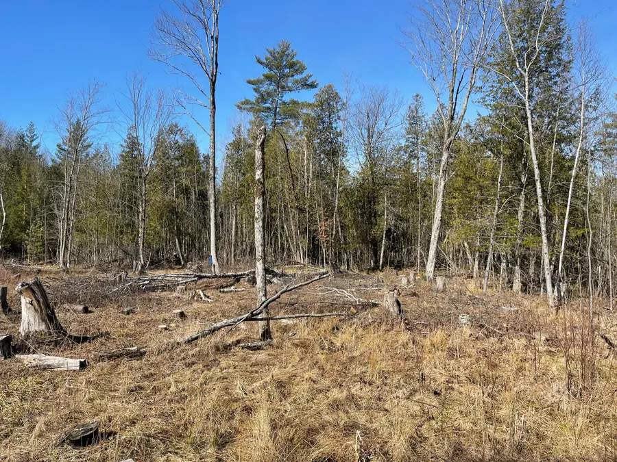 V/L N Lakola, Leroy, MI 49655 - Image #3