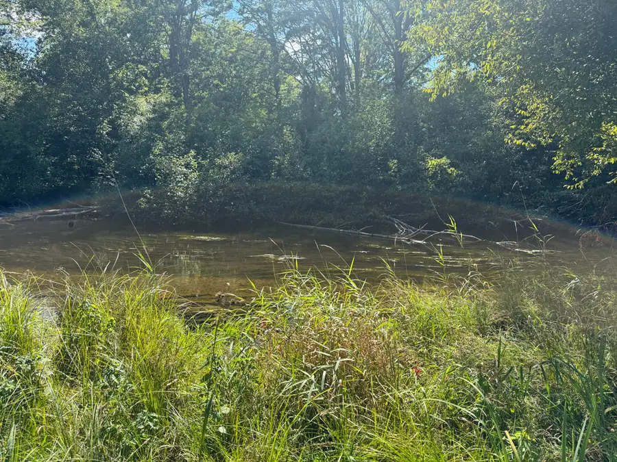 6685 Cedar Trace, Austin, MI 49346 - Image #3