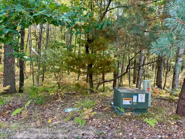 6742 Abbey Lane, CanadianLakes, MI 49346