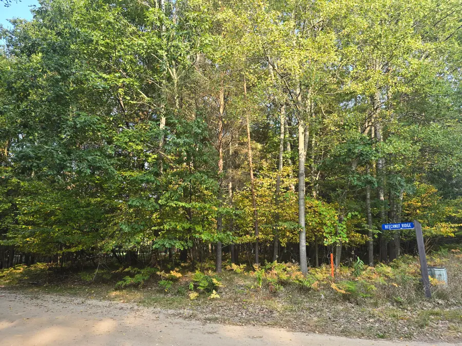 6718 Beechnut Ridge, Canadian Lakes, MI 49346 - Image #2