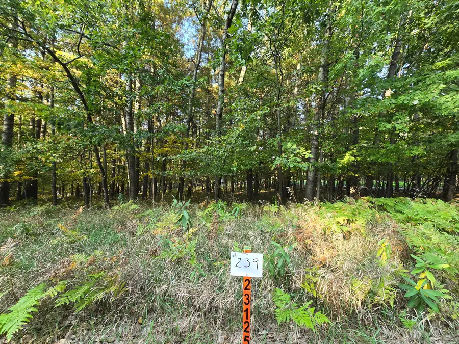 6718 Beechnut Ridge, Canadian Lakes, MI 49346 - Image #3