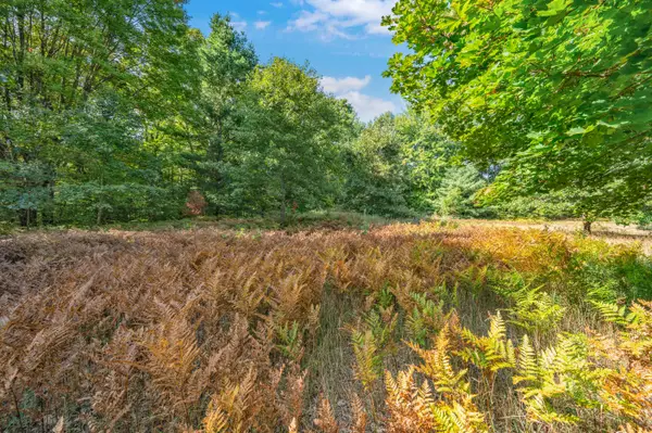 Lot 6 University Club Dr, BigRapids, MI 49307