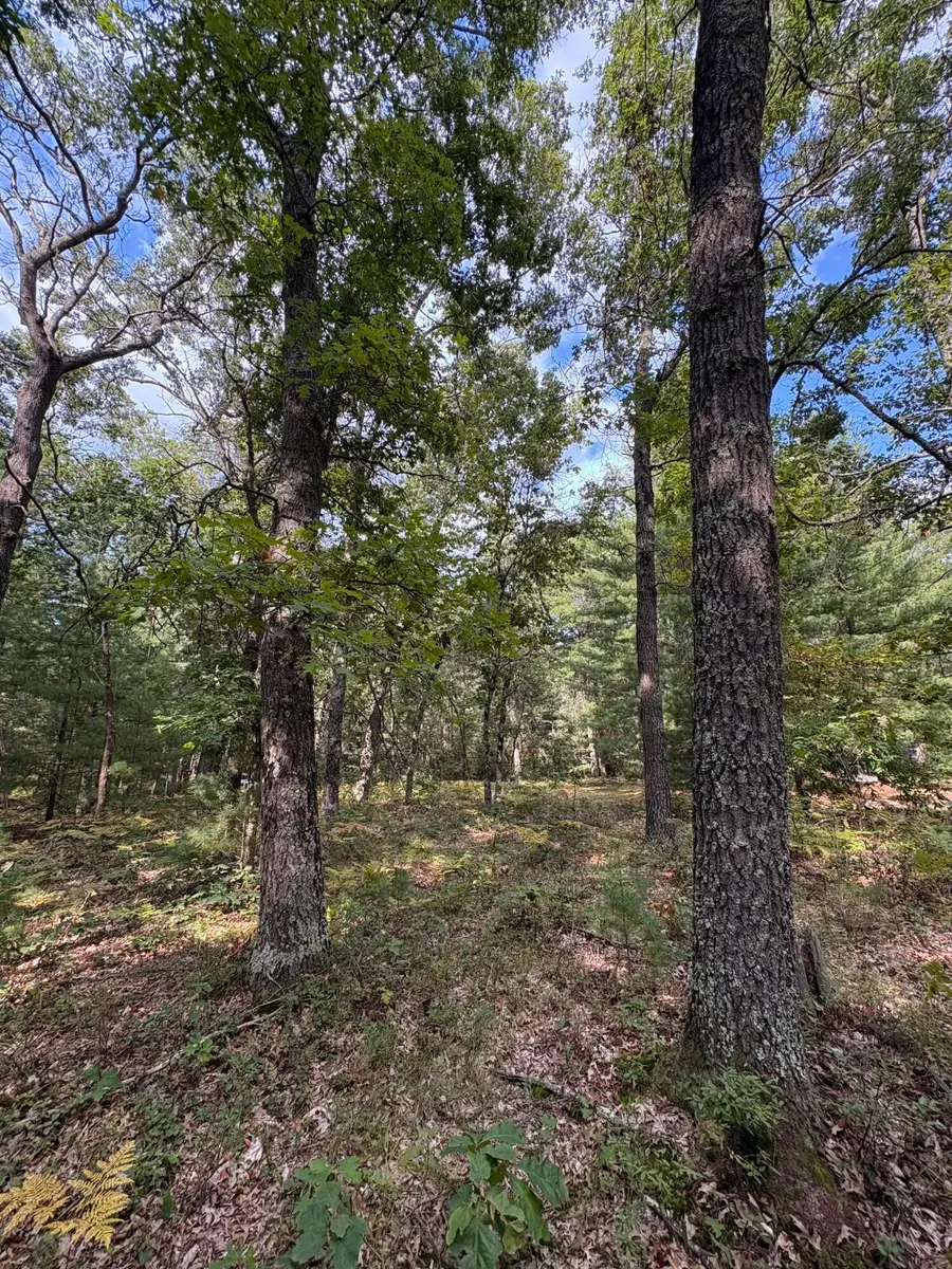 0 S Shady Grove Drive, Baldwin, MI 49304 - Image #3