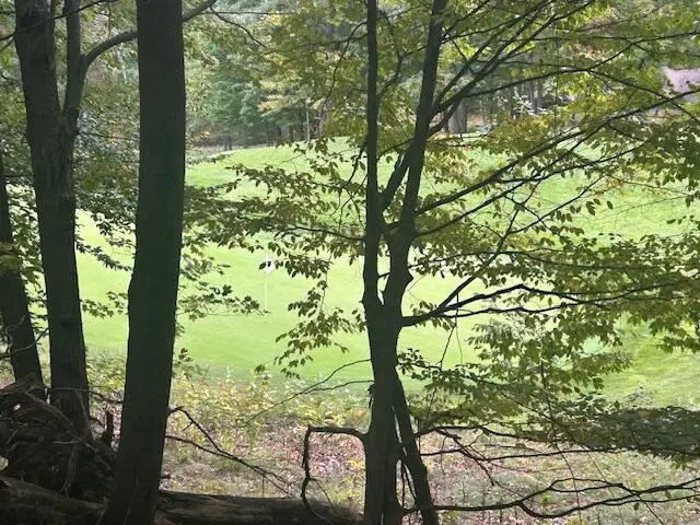 11269 Apache Wells Court Unit: 611, Canadian Lakes, MI 49346 - Image #2