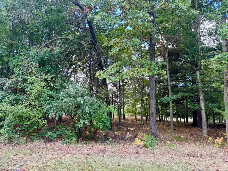 6485 Dunhill Drive, Canadian Lakes, MI 49346 - Image #3