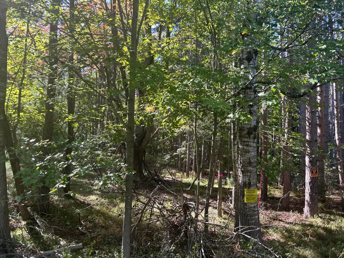 6195 110th Avenue, Stanwood, MI 49346 - Image #1