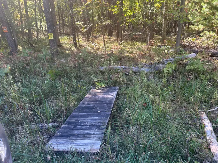 6195 110th Avenue, Stanwood, MI 49346 - Image #2