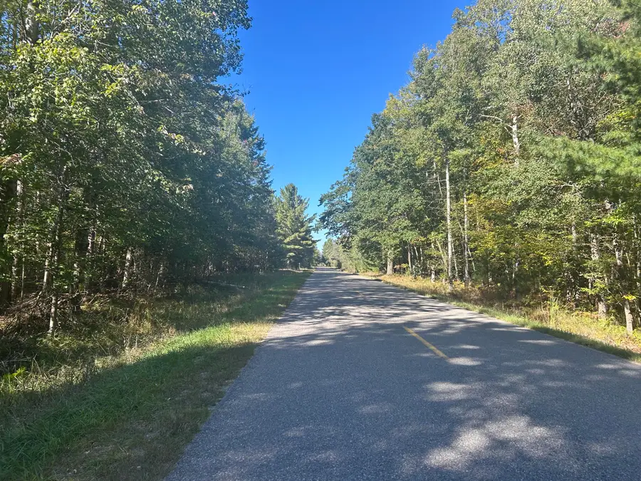 6195 110th Avenue, Stanwood, MI 49346 - Image #3