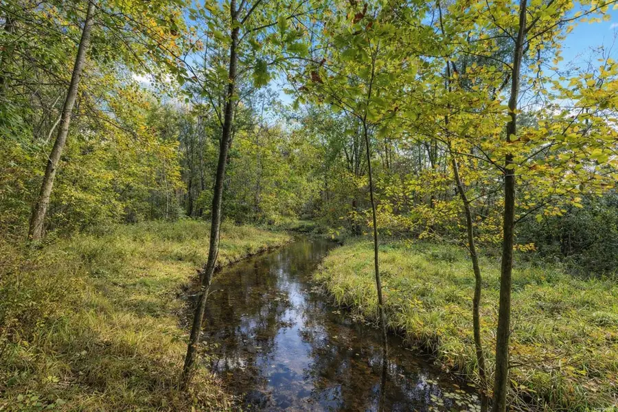 5265 Huck Drive, Sheridan, MI 48884 - #3