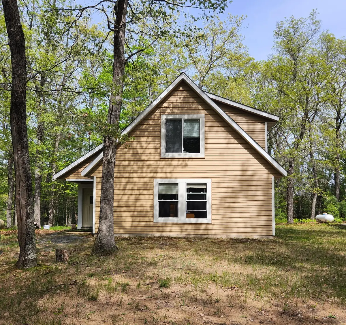 9736 S Trillium Trail, Baldwin, MI 49304 - #1