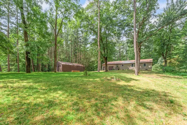 7975 110th Avenue, Evart, MI 49631