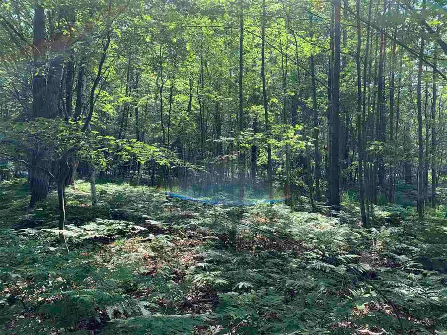 NKA Fairway, Standish, MI 48658 - Image #3