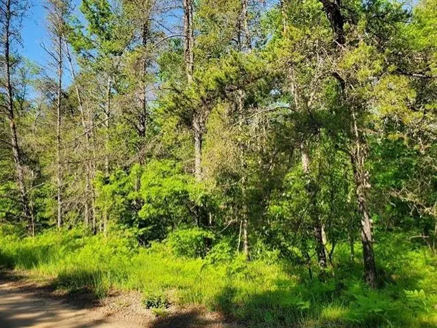 0 Quigley, Alger, MI 48610 - Image #1