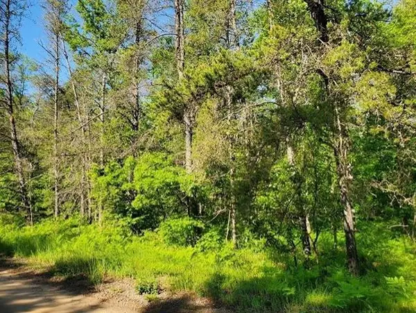 0 Quigley, Alger, MI 48610