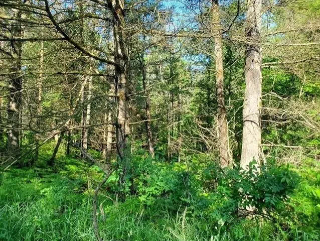 0 Quigley, Alger, MI 48610 - Image #2