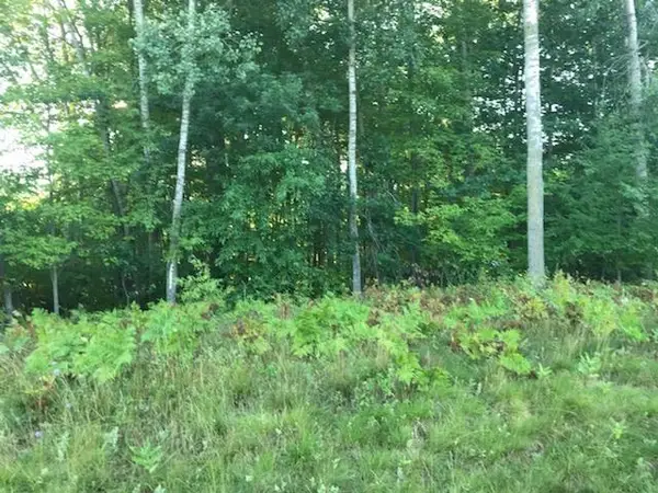 N/A Noble, TawasCity, MI 48763