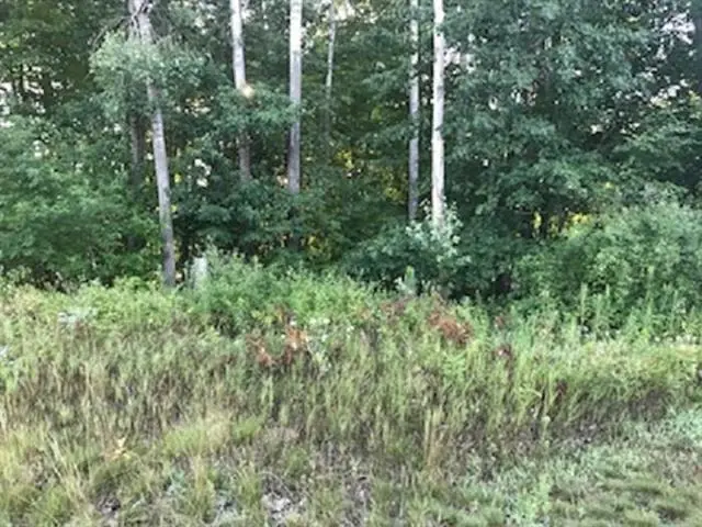 N/A Noble, Whitney, MI 48763 - Image #2