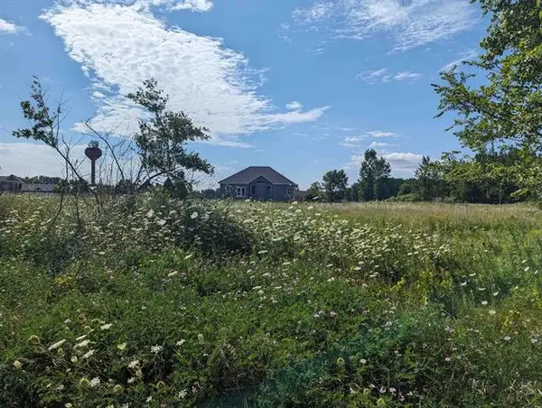 0 S Court ST, AuGres, MI 48703