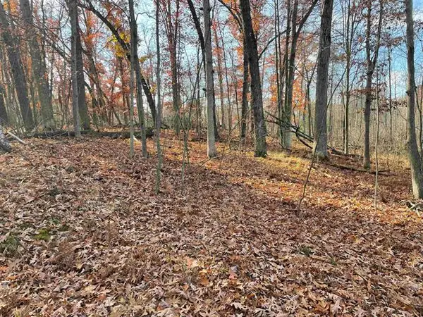 0 First, Prescott, MI 48756