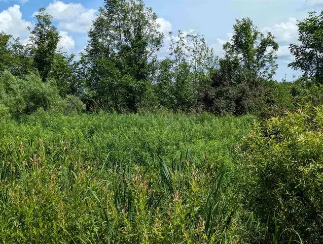 N/A Crosby RD, Turner, MI 48765 - Image #1