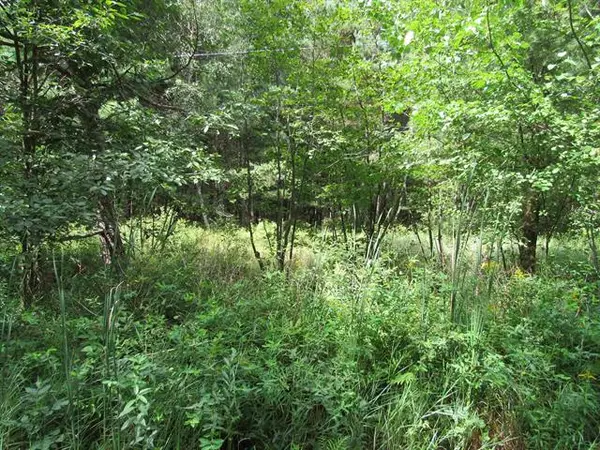 00 Duby, TawasCity, MI 48763