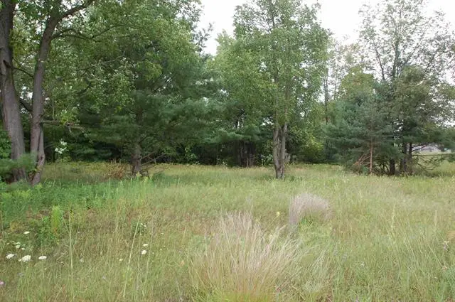 0 Jonathan, West Branch, MI 48661 - Image #1