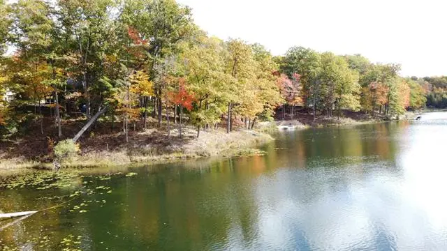 Parcel 14 Jack Morris, West Branch Township, MI 48661 - Image #2