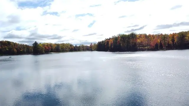 Parcel 14 Jack Morris, West Branch Township, MI 48661 - Image #3