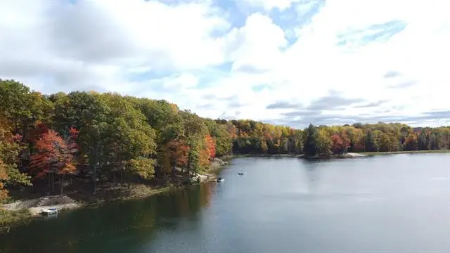 Parcel 15 Jack Morris, West Branch Township, MI 48661 - Image #1