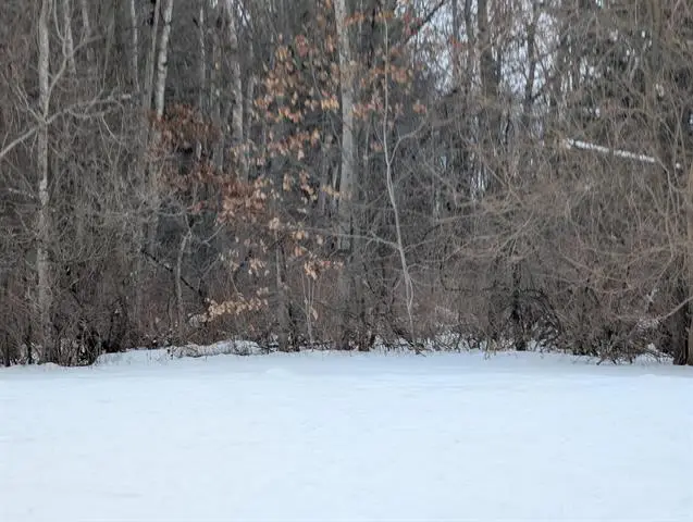 N/A Court, Au Gres, MI 48703 - Image #1