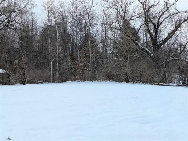 N/A Court, Au Gres, MI 48703 - Image #3