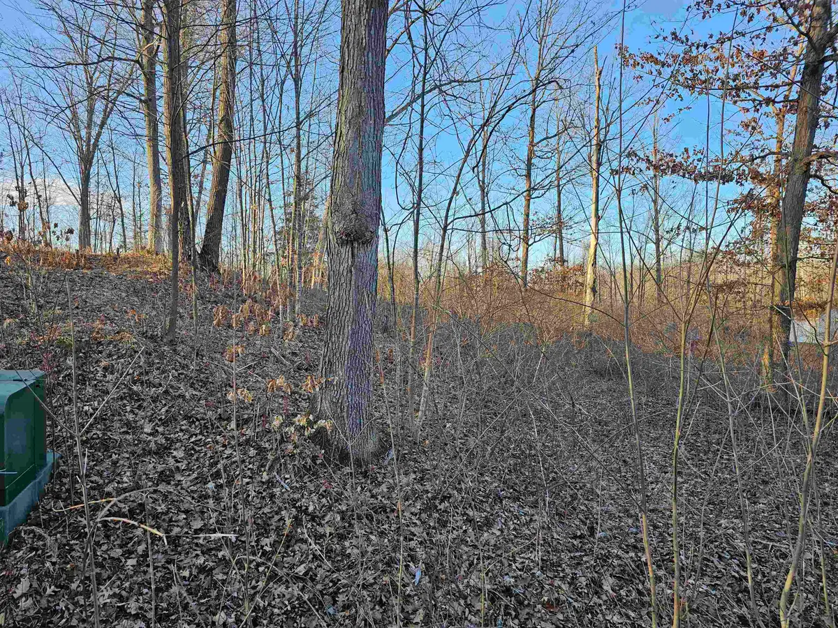 v/l Oak LN, Hale, MI 48739 - Image #1