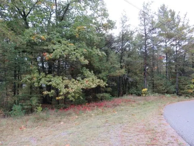 0 Jones, Baldwin, MI 48730 - Image #1