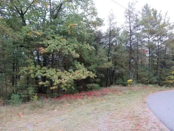 0 Jones, EastTawas, MI 48730