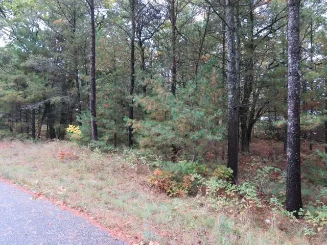 0 Jones, Baldwin, MI 48730 - Image #2