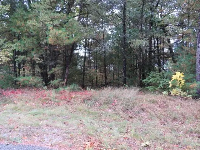 0 Jones, Baldwin, MI 48730 - Image #3