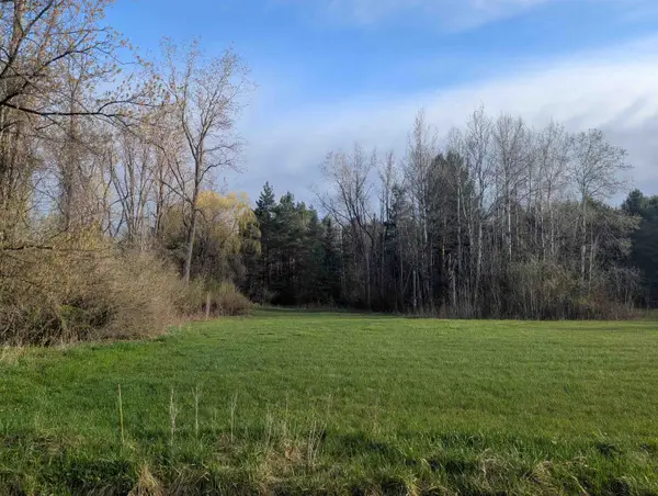 N/A Pine, Omer, MI 48749