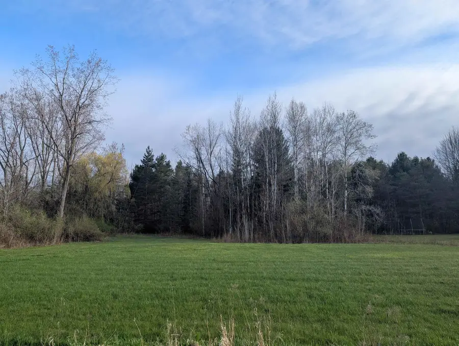 N/A Pine, Omer, MI 48749 - Image #3