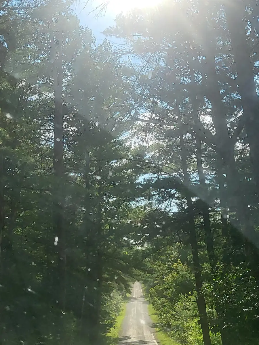 0 Curtis RD, Hale, MI 48739 - Image #2