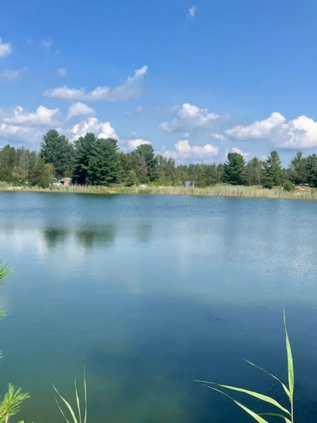 Vacant Aulerich, Baldwin, MI 48730 - Image #2