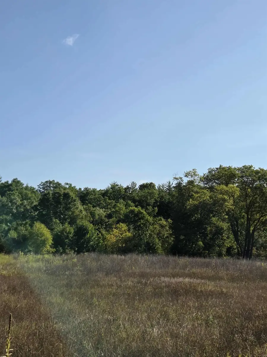 00 Runyan, Hale, MI 48739 - Image #3