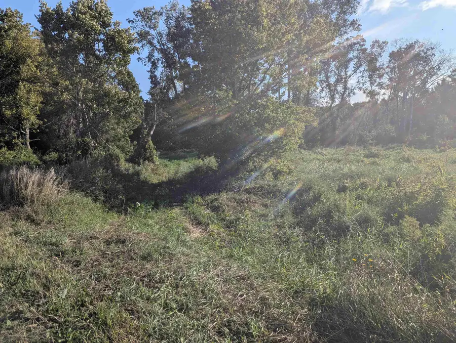 N/A Andrews, Whitney, MI 48763 - Image #2